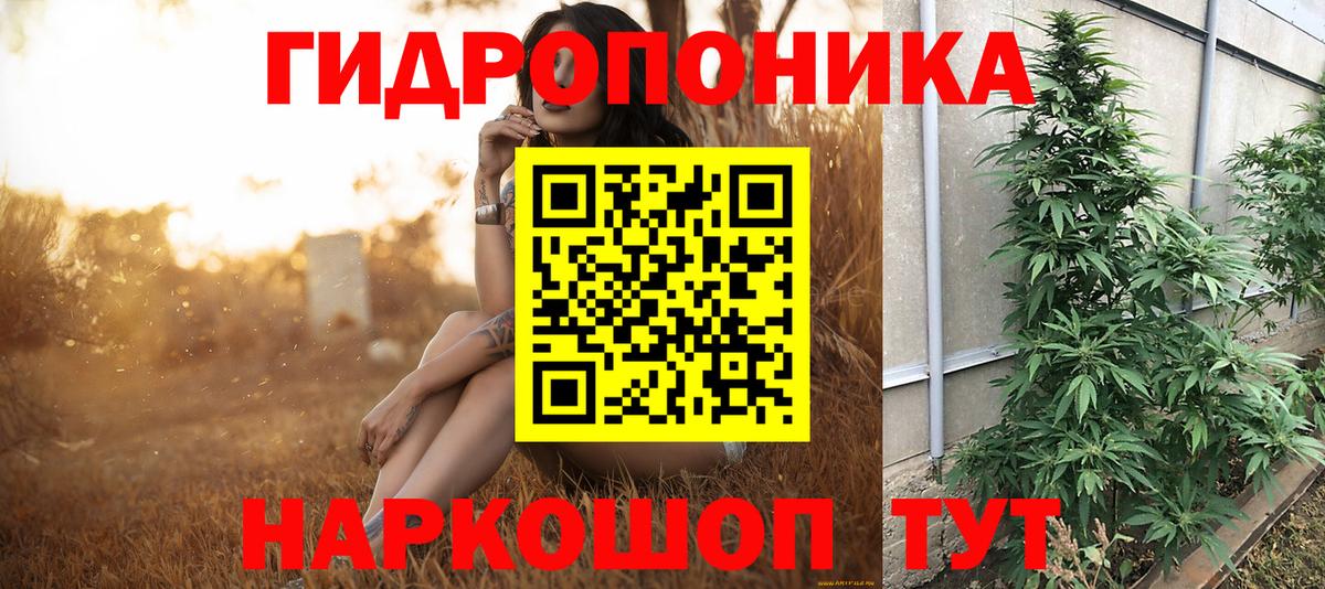 Черняховск  Шишки марихуана THC 21%  Марихуана MAZAR  Вход с VPN  Конопля сатива  Шишки марихуана семена 